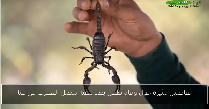 تفاصيل مثيرة حول وفاة طفل بعد تلقيه مصل العقرب في قنا