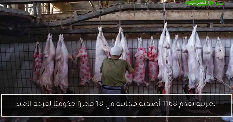 الغربية تقدم 1168 أضحية مجانية في 18 مجزرًا حكوميًا لفرحة العيد