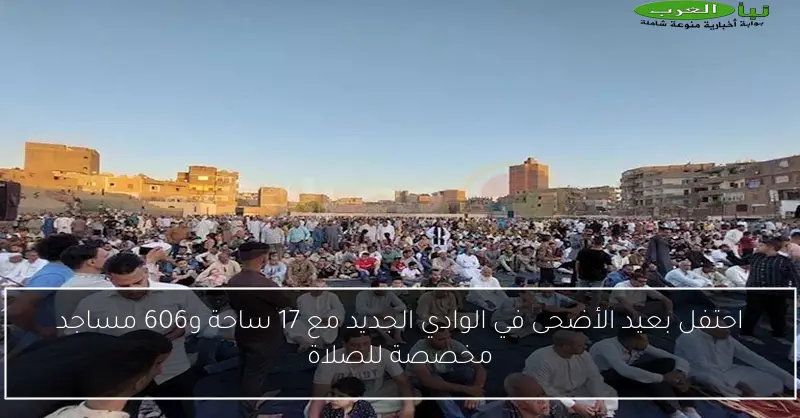 احتفل بعيد الأضحى في الوادي الجديد مع 17 ساحة و606 مساجد مخصصة للصلاة