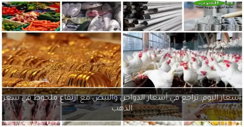 أسعار اليوم: تراجع في أسعار الدواجن والبيض مع ارتفاع ملحوظ في سعر الذهب