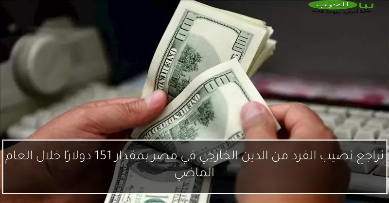 تراجع نصيب الفرد من الدين الخارجي في مصر بمقدار 151 دولارًا خلال العام الماضي