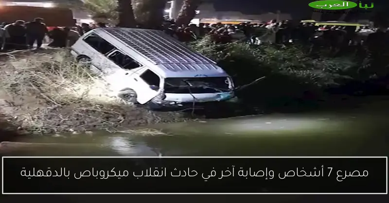 مصرع 7 أشخاص وإصابة آخر في حادث انقلاب ميكروباص بالدقهلية