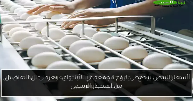 أسعار البيض تنخفض اليوم الجمعة في الأسواق.. تعرف على التفاصيل من المصدر الرسمي
