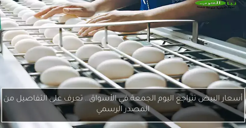 أسعار البيض تتراجع اليوم الجمعة في الأسواق.. تعرف على التفاصيل من المصدر الرسمي