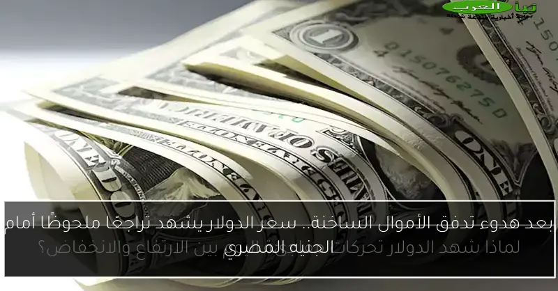 بعد هدوء تدفق الأموال الساخنة.. سعر الدولار يشهد تراجعًا ملحوظًا أمام الجنيه المصري