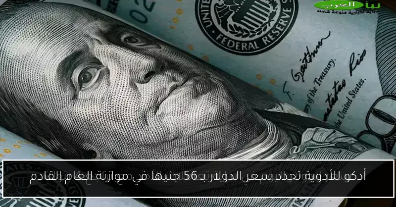 أدكو للأدوية تحدد سعر الدولار بـ 56 جنيها في موازنة العام القادم
