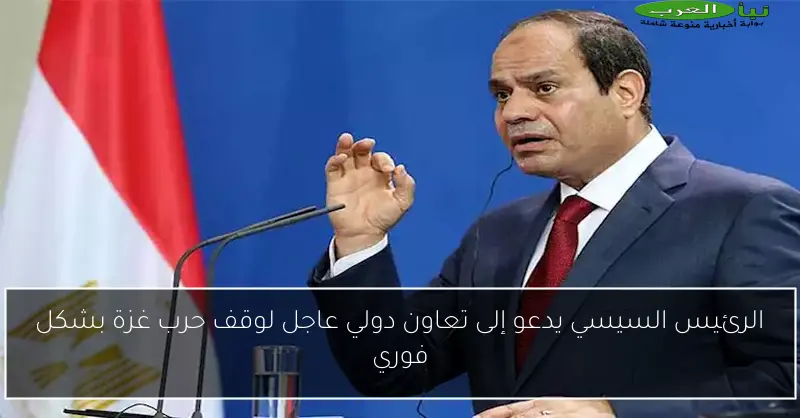 الرئيس السيسي يدعو إلى تعاون دولي عاجل لوقف حرب غزة بشكل فوري