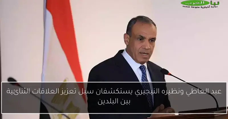 عبد العاطي ونظيره النيجيري يستكشفان سبل تعزيز العلاقات الثنائية بين البلدين