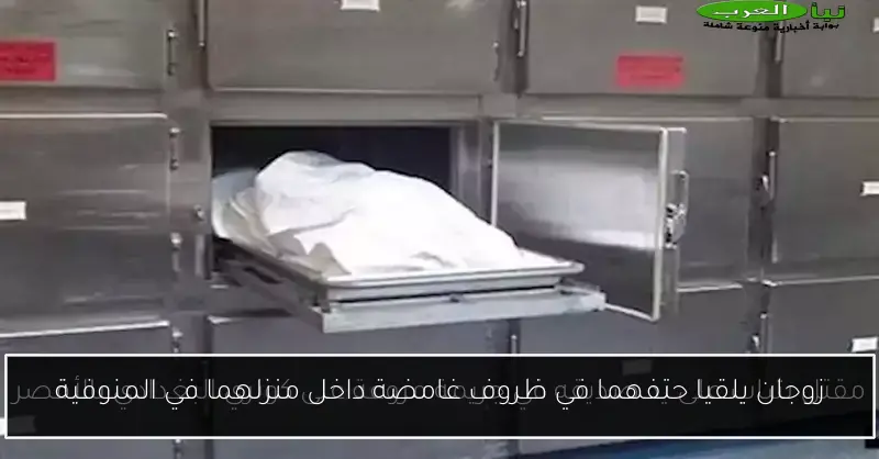 زوجان يلقيا حتفهما في ظروف غامضة داخل منزلهما في المنوفية