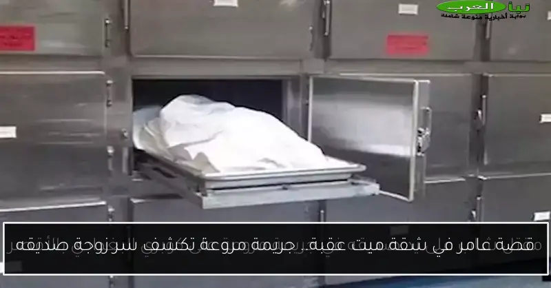 قصة عامر في شقة ميت عقبة.. جريمة مروعة تكشف سر زوجة صديقه