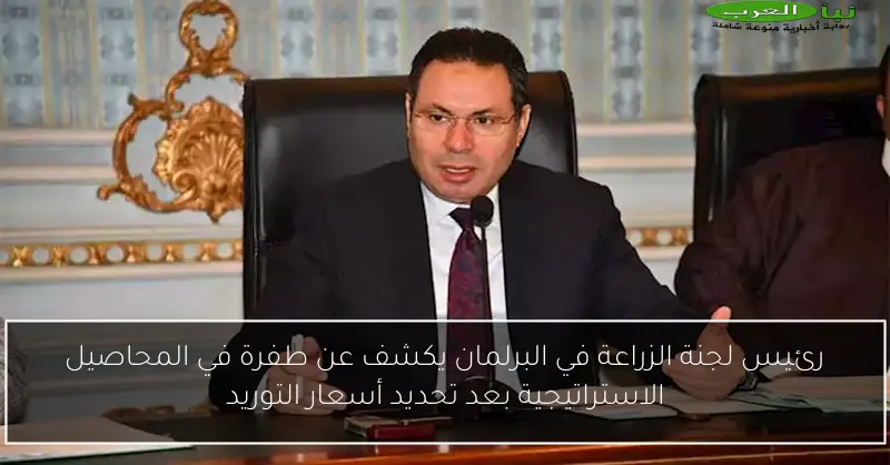 رئيس لجنة الزراعة في البرلمان يكشف عن طفرة في المحاصيل الاستراتيجية بعد تحديد أسعار التوريد
