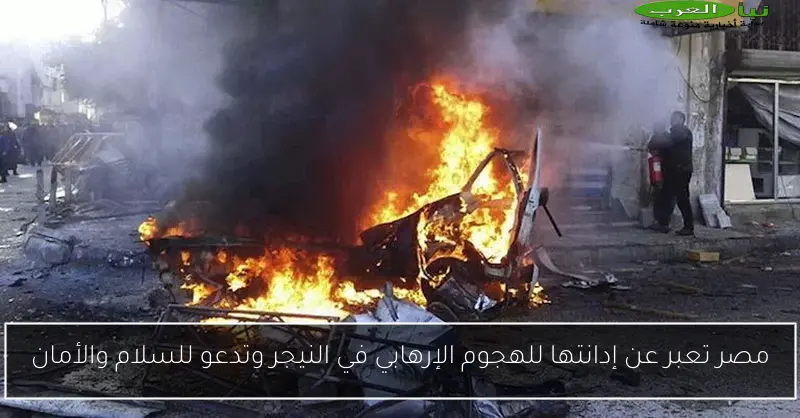 مصر تعبر عن إدانتها للهجوم الإرهابي في النيجر وتدعو للسلام والأمان