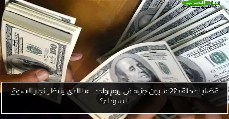قضايا عملة بـ22 مليون جنيه في يوم واحد.. ما الذي ينتظر تجار السوق السوداء؟