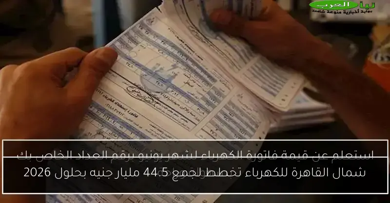 شمال القاهرة للكهرباء تخطط لجمع 44.5 مليار جنيه بحلول 2026