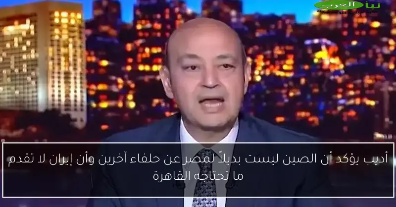 أديب يؤكد أن الصين ليست بديلاً لمصر عن حلفاء آخرين وأن إيران لا تقدم ما تحتاجه القاهرة