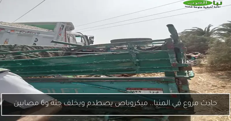 حادث مروع في المنيا.. ميكروباص يصطدم ويخلف جثة و6 مصابين