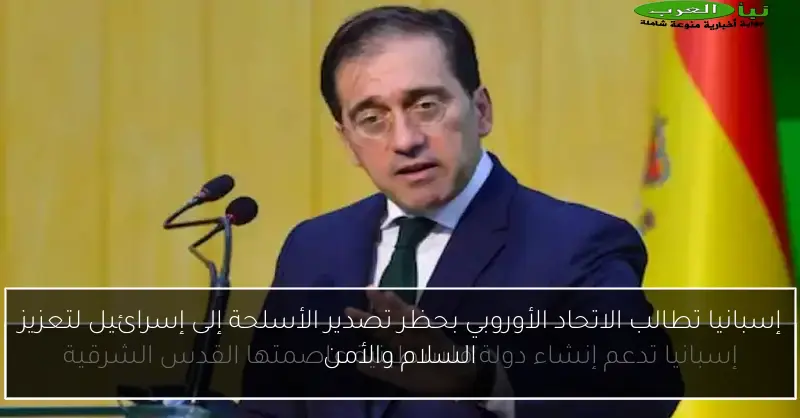 إسبانيا تطالب الاتحاد الأوروبي بحظر تصدير الأسلحة إلى إسرائيل لتعزيز السلام والأمن