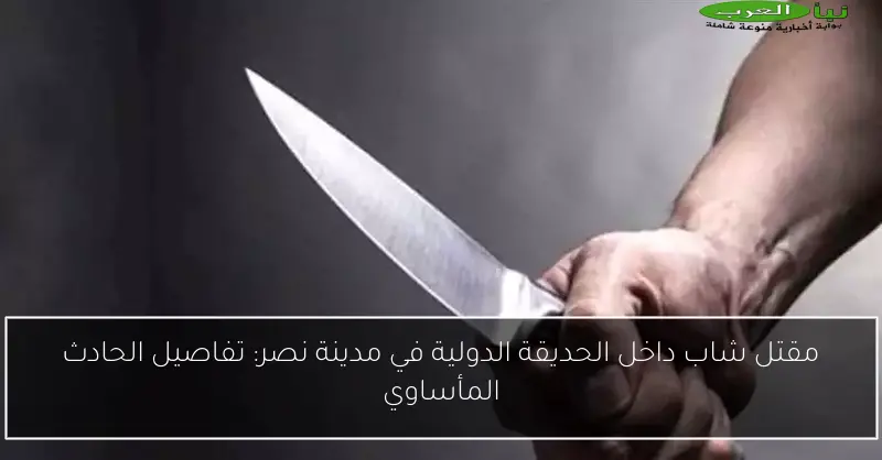 مقتل شاب داخل الحديقة الدولية في مدينة نصر: تفاصيل الحادث المأساوي