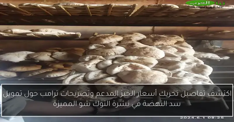 اكتشف تفاصيل تحريك أسعار الخبز المدعم وتصريحات ترامب حول تمويل سد النهضة في نشرة التوك شو المميزة