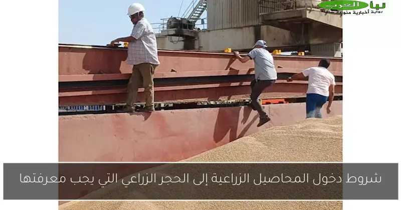 شروط دخول المحاصيل الزراعية إلى الحجر الزراعي التي يجب معرفتها