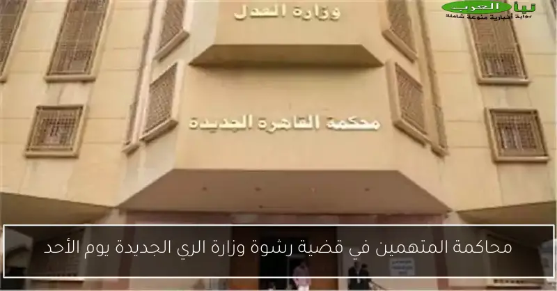 محاكمة المتهمين في قضية رشوة وزارة الري الجديدة يوم الأحد
