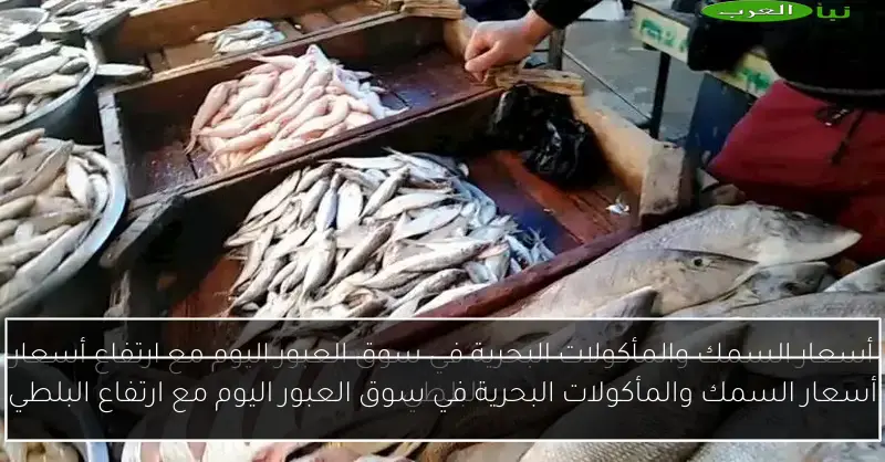أسعار السمك والمأكولات البحرية في سوق العبور اليوم مع ارتفاع البلطي