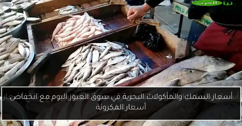 أسعار السمك والمأكولات البحرية في سوق العبور اليوم مع انخفاض أسعار المكرونة