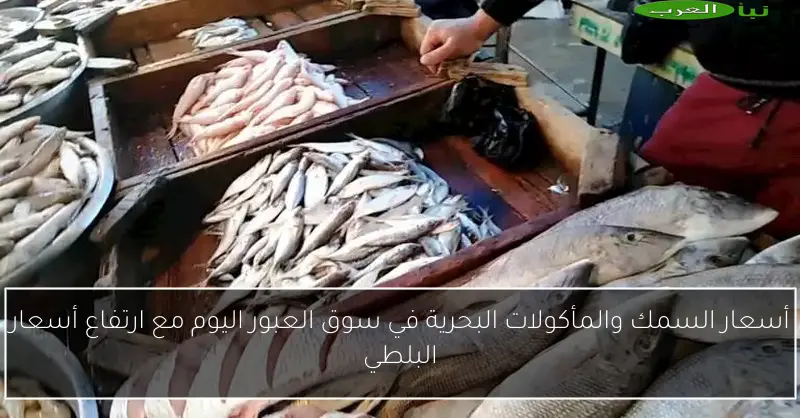 أسعار السمك والمأكولات البحرية في سوق العبور اليوم مع ارتفاع أسعار البلطي