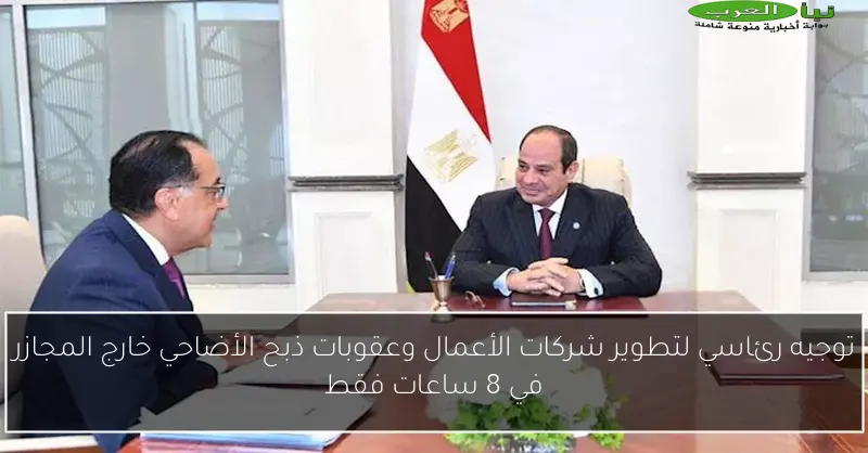 توجيه رئاسي لتطوير شركات الأعمال وعقوبات ذبح الأضاحي خارج المجازر في 8 ساعات فقط