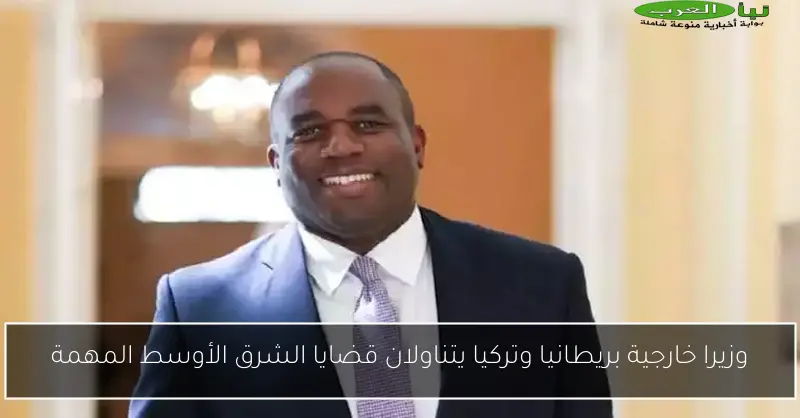 وزيرا خارجية بريطانيا وتركيا يتناولان قضايا الشرق الأوسط المهمة