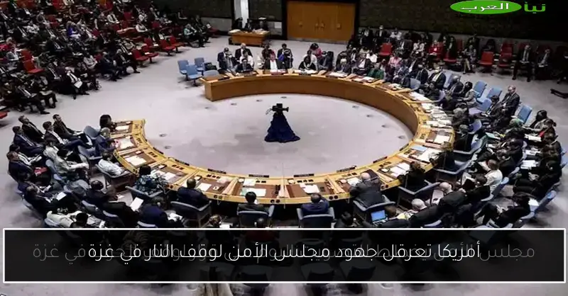 أمريكا تعرقل جهود مجلس الأمن لوقف النار في غزة