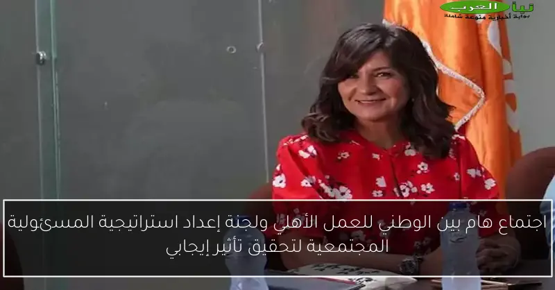 اجتماع هام بين الوطني للعمل الأهلي ولجنة إعداد استراتيجية المسئولية المجتمعية لتحقيق تأثير إيجابي