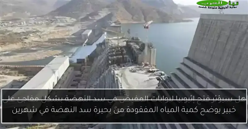 خبير يوضح كمية المياه المفقودة من بحيرة سد النهضة في شهرين