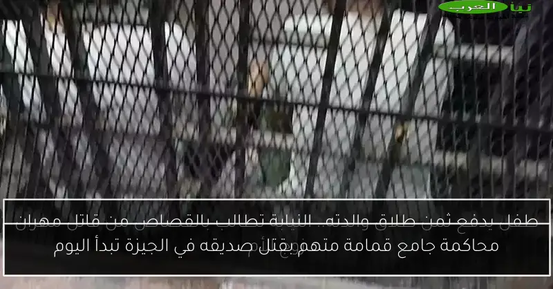 محاكمة جامع قمامة متهم بقتل صديقه في الجيزة تبدأ اليوم