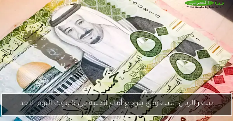 سعر الريال السعودي يتراجع أمام الجنيه في 5 بنوك اليوم الأحد