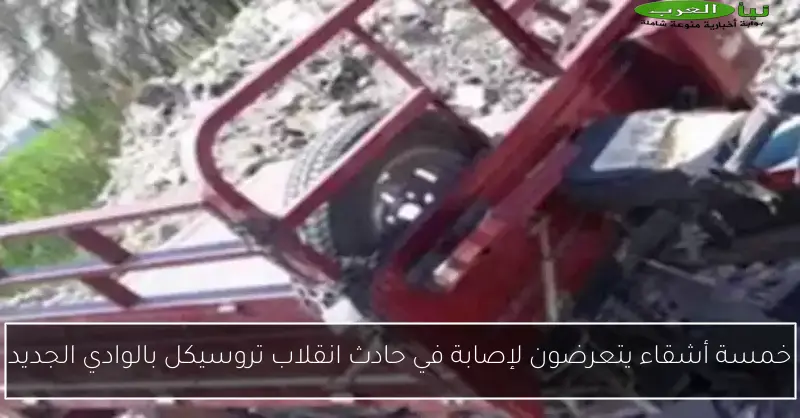 خمسة أشقاء يتعرضون لإصابة في حادث انقلاب تروسيكل بالوادي الجديد