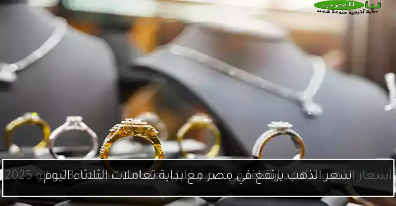 سعر الذهب يرتفع في مصر مع بداية تعاملات الثلاثاء اليوم