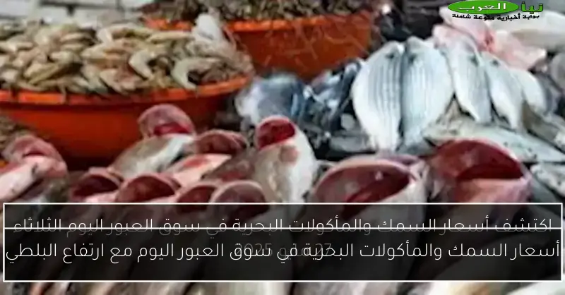 أسعار السمك والمأكولات البحرية في سوق العبور اليوم مع ارتفاع البلطي