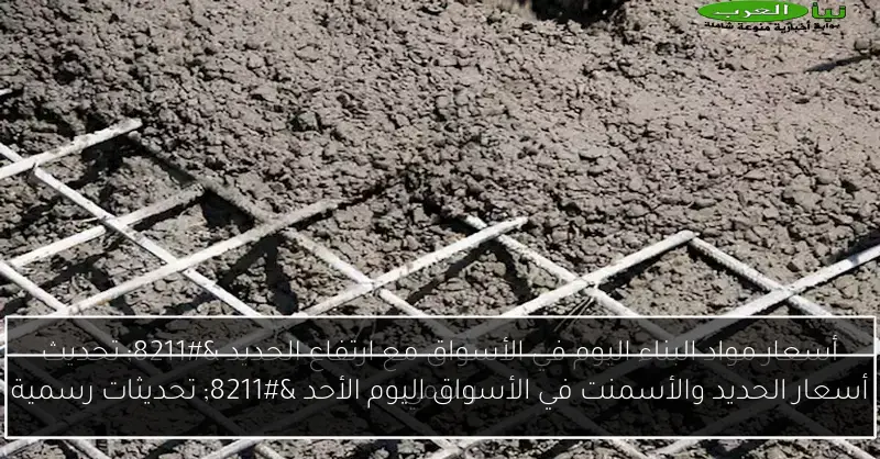 أسعار الحديد والأسمنت في الأسواق اليوم الأحد – تحديثات رسمية