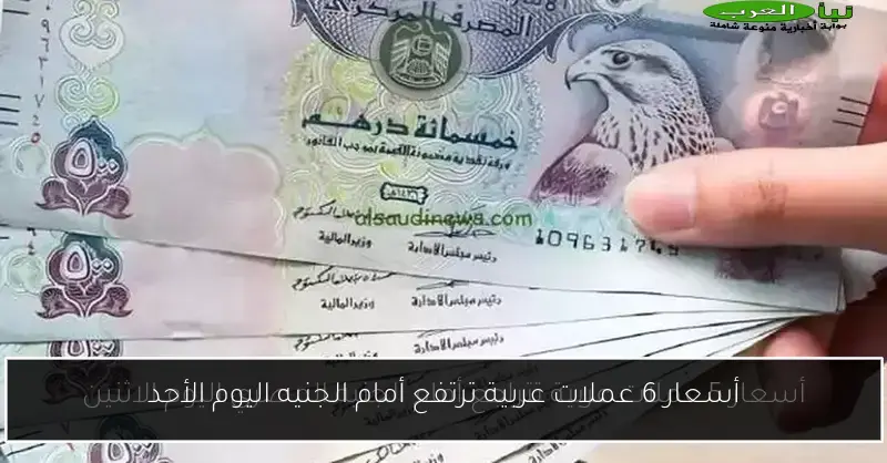 أسعار 6 عملات عربية ترتفع أمام الجنيه اليوم الأحد