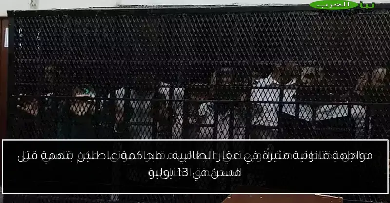 مواجهة قانونية مثيرة في عقار الطالبية.. محاكمة عاطلين بتهمة قتل مسن في 13 يوليو