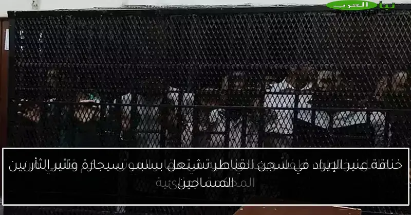 خناقة عنبر الإيراد في سجن القناطر تشتعل بسبب سيجارة وتثير الثأر بين المساجين