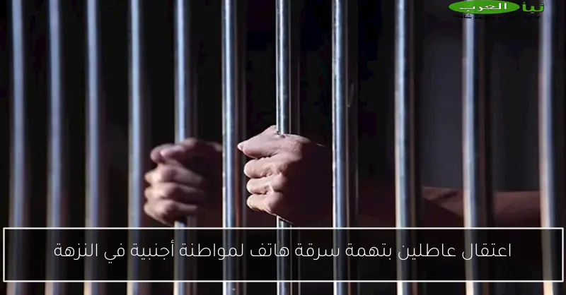 اعتقال عاطلين بتهمة سرقة هاتف لمواطنة أجنبية في النزهة