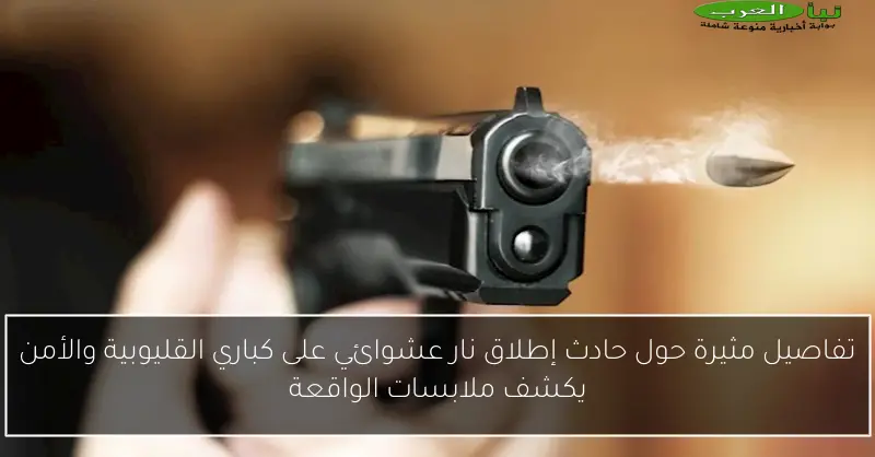 تفاصيل مثيرة حول حادث إطلاق نار عشوائي على كباري القليوبية والأمن يكشف ملابسات الواقعة