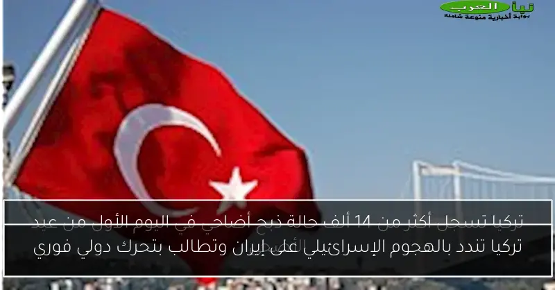 تركيا تندد بالهجوم الإسرائيلي على إيران وتطالب بتحرك دولي فوري