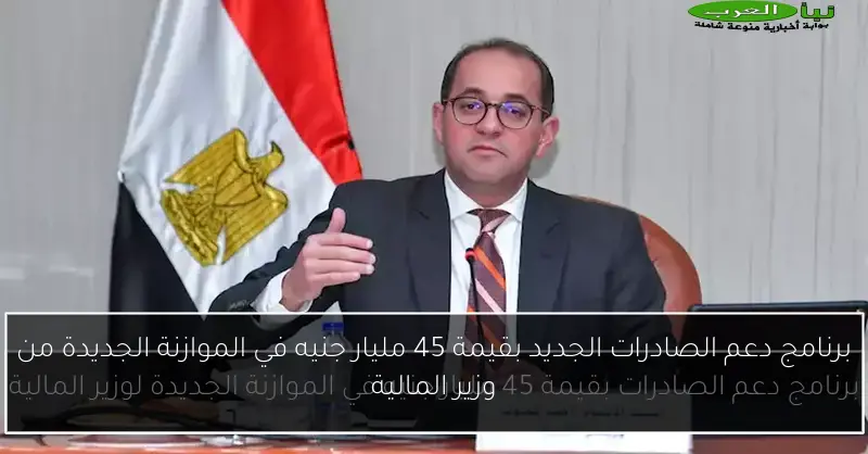 برنامج دعم الصادرات الجديد بقيمة 45 مليار جنيه في الموازنة الجديدة من وزير المالية