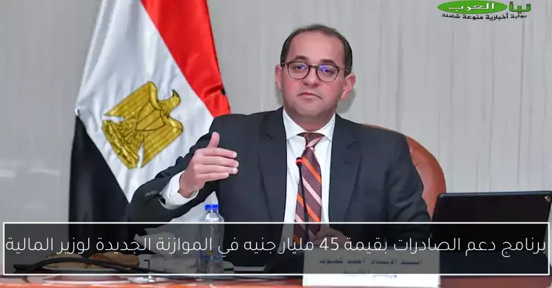 برنامج دعم الصادرات بقيمة 45 مليار جنيه في الموازنة الجديدة لوزير المالية