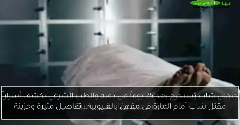 مقتل شاب أمام المارة في مقهى بالقليوبية.. تفاصيل مثيرة وحزينة