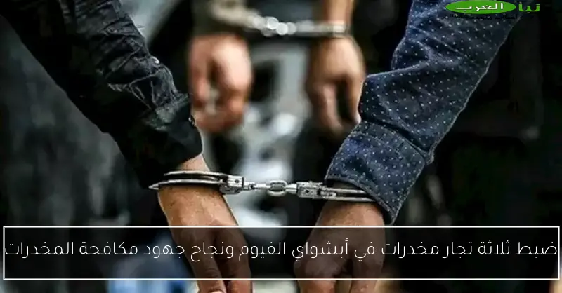 ضبط ثلاثة تجار مخدرات في أبشواي الفيوم ونجاح جهود مكافحة المخدرات
