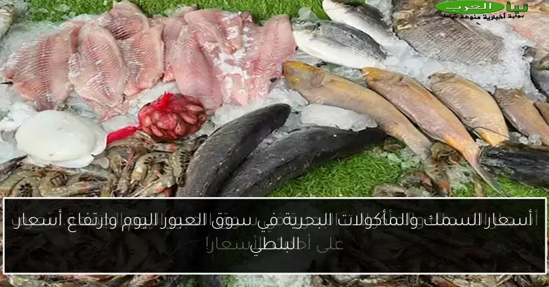 أسعار السمك والمأكولات البحرية في سوق العبور اليوم وارتفاع أسعار البلطي